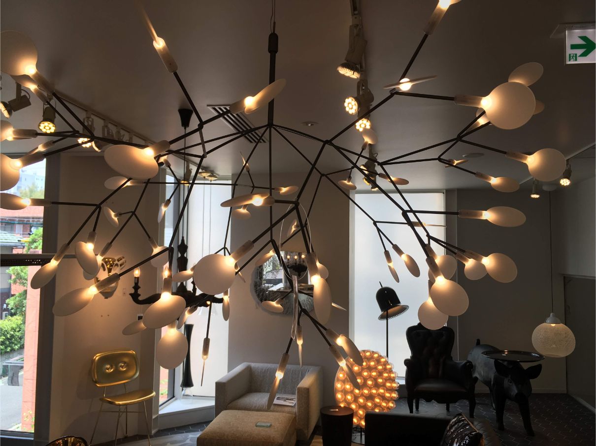 ヘラクレウム（HERACLEUM）