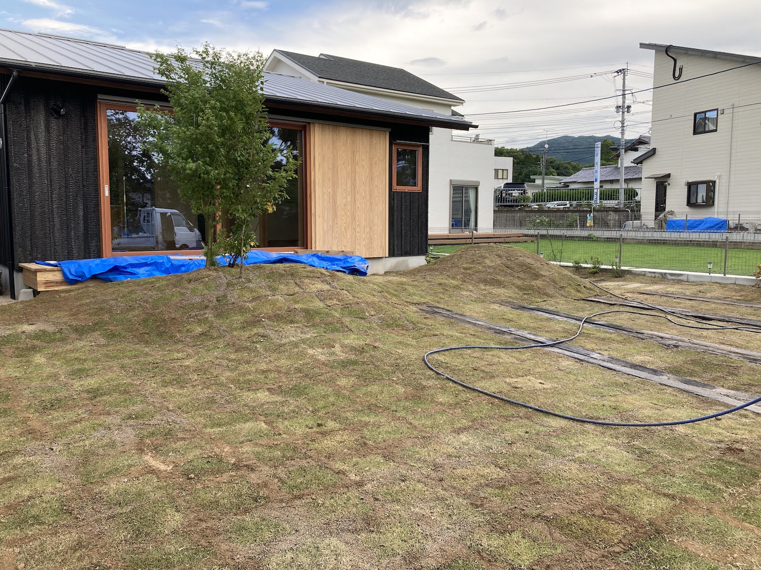 庭の芝生のはり方（植え方）とお手入れ方法｜実際に芝生張りました 